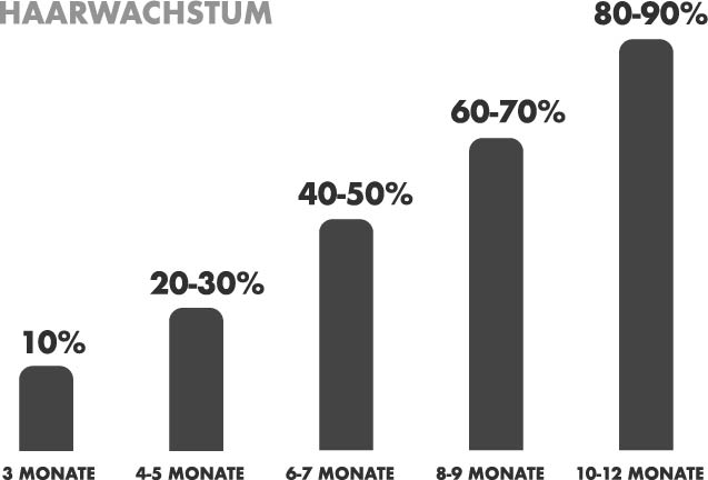 haarwachstum-infografik